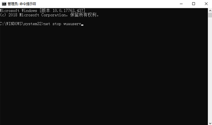 Win10更新失敗出現”0x800700C1“錯誤的解決方法